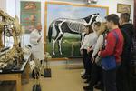 Уже больше месяца молодежь города посещает музеи Великолукской ГСХА (ФОТО)