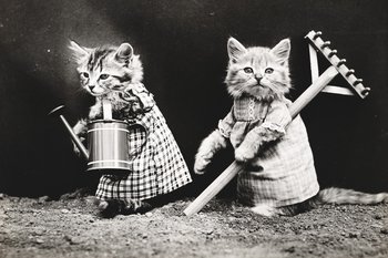 Огородникам советуют не торопиться с работами