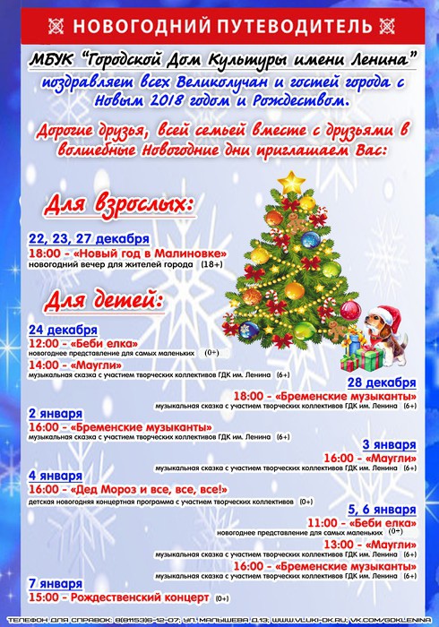 Новогодний Дом Культуры